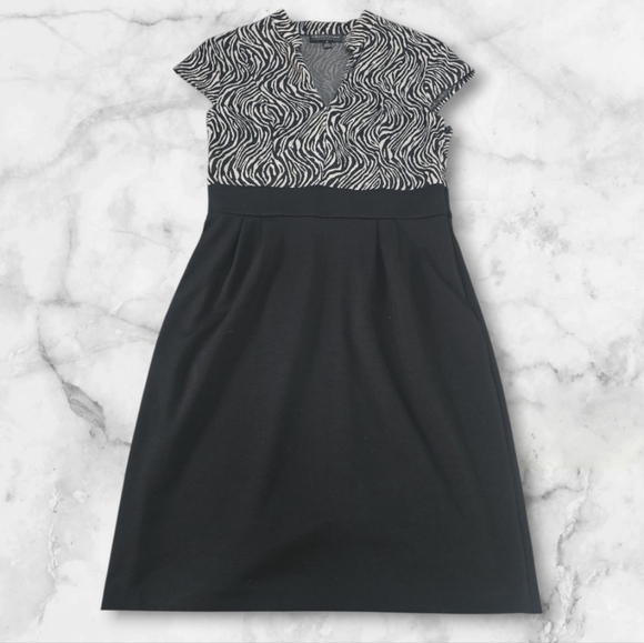 connected apparel Dresses & Skirts - Connected Apparel Black and White Dress